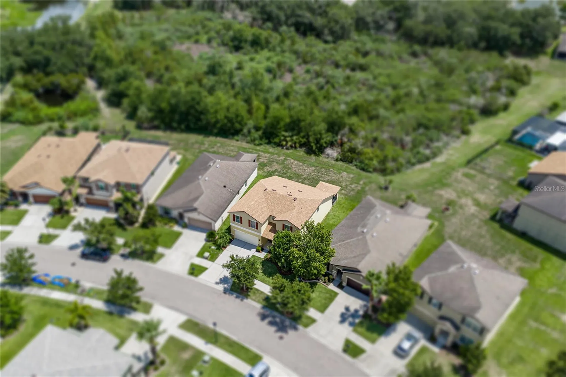 9114 Mountain Magnolia Drive Riverview FL 33578