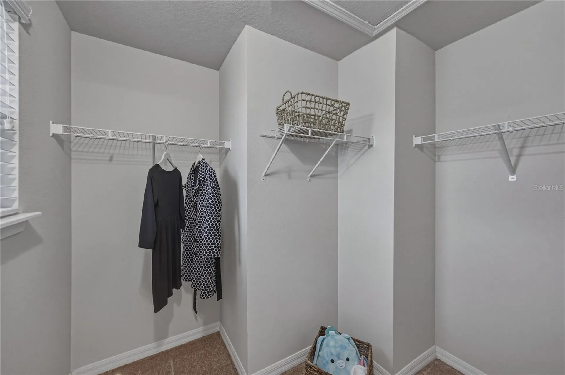 9114 Mountain Magnolia Drive Riverview FL 33578