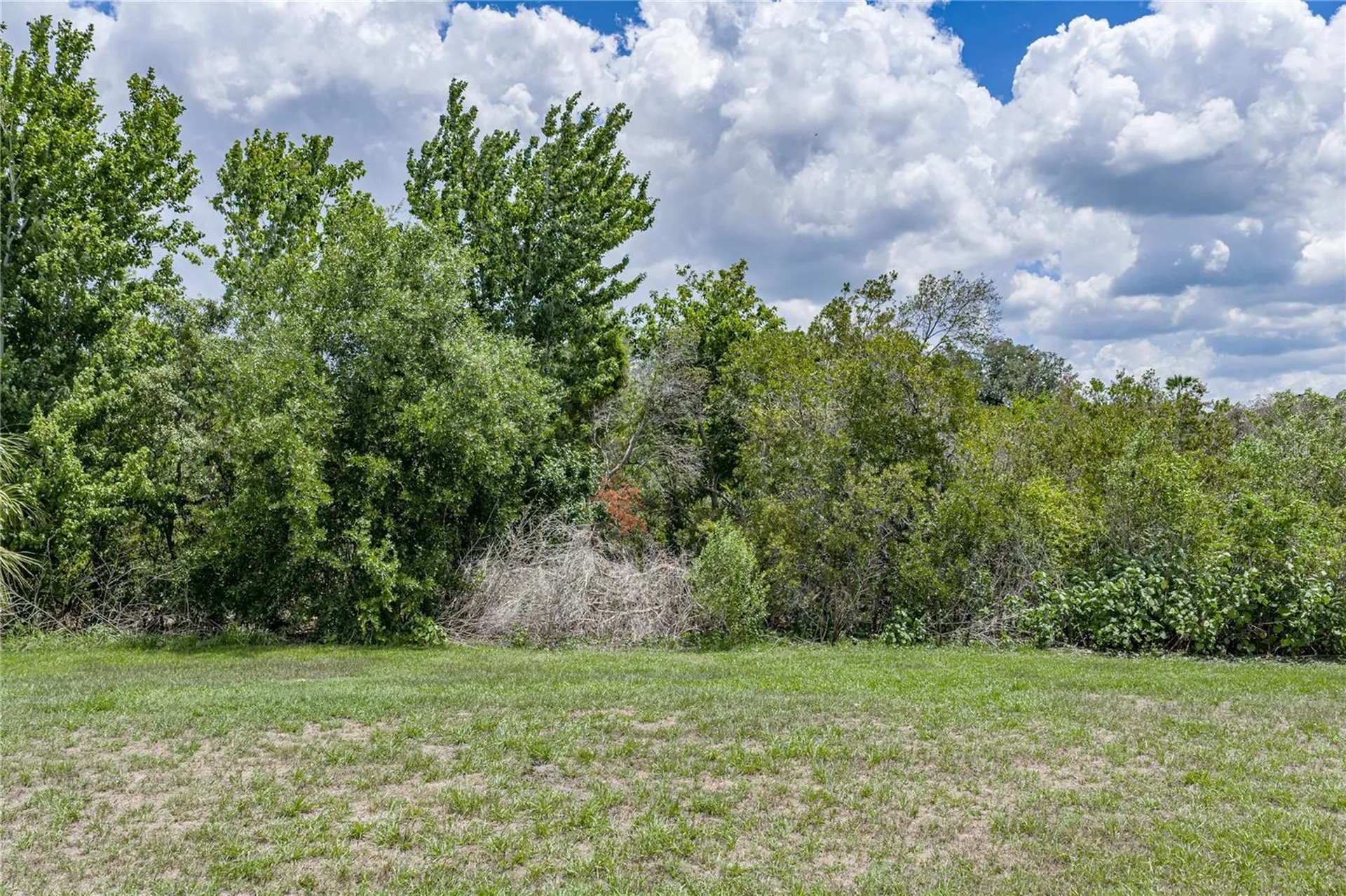 9114 Mountain Magnolia Drive Riverview FL 33578