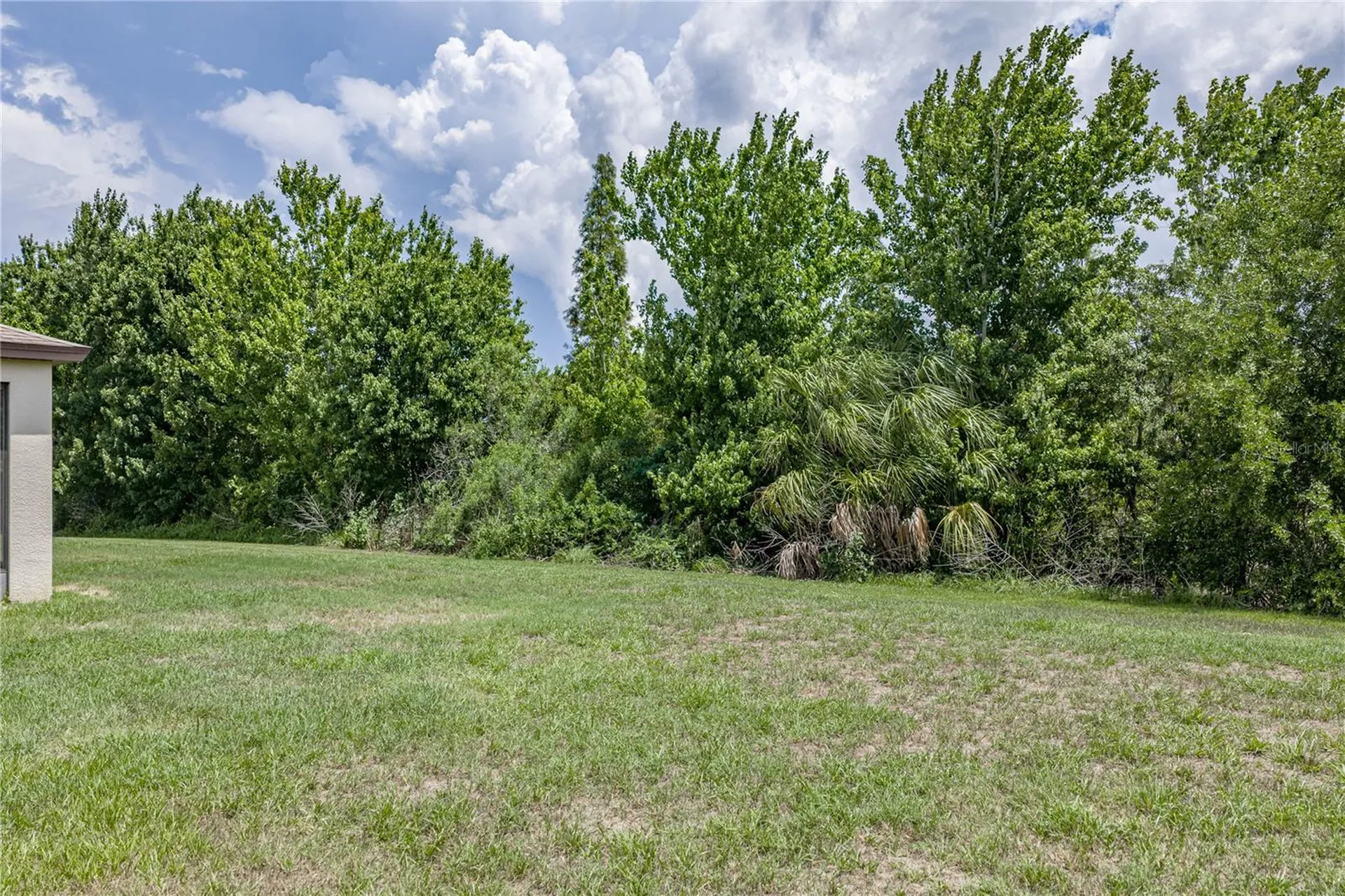 9114 Mountain Magnolia Drive Riverview FL 33578