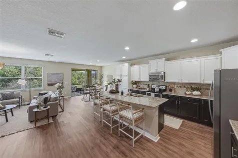 9114 Mountain Magnolia Drive Riverview FL 33578