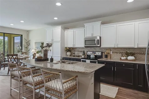 9114 Mountain Magnolia Drive Riverview FL 33578