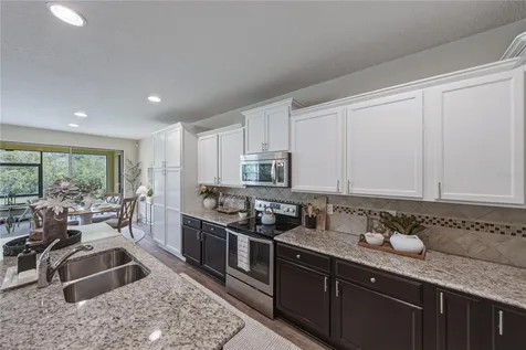 9114 Mountain Magnolia Drive Riverview FL 33578