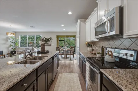 9114 Mountain Magnolia Drive Riverview FL 33578