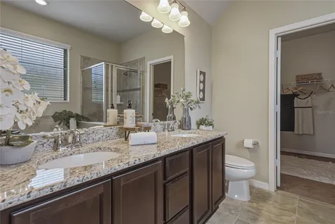 9114 Mountain Magnolia Drive Riverview FL 33578