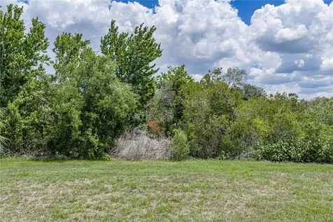 9114 Mountain Magnolia Drive Riverview FL 33578