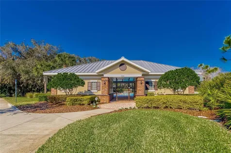 9114 Mountain Magnolia Drive Riverview FL 33578