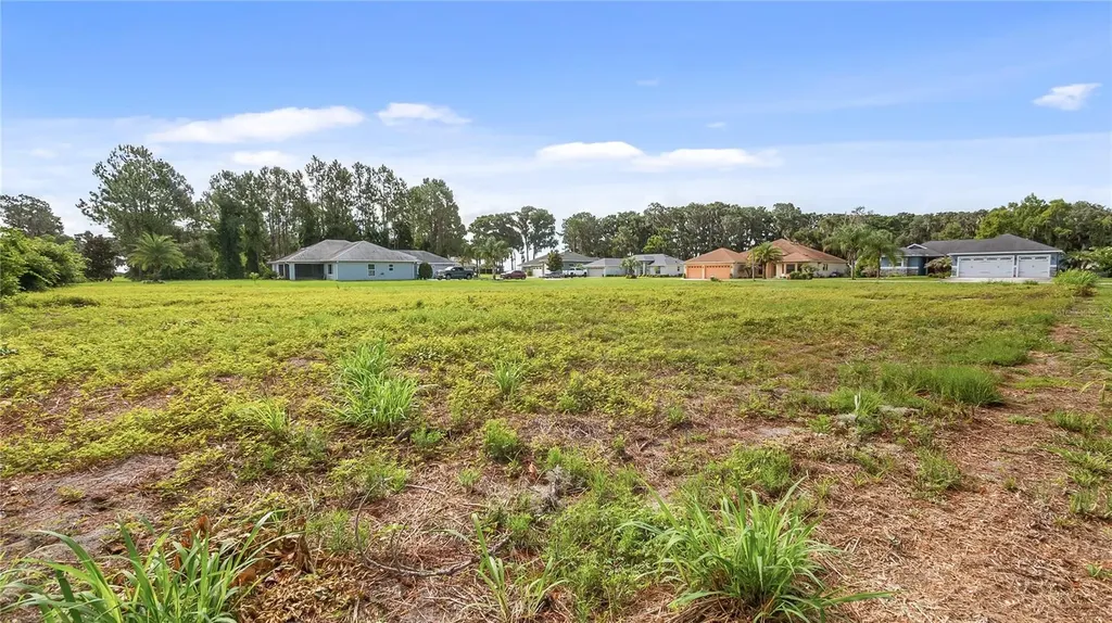 12045 Eagle Point Court Leesburg FL 34788