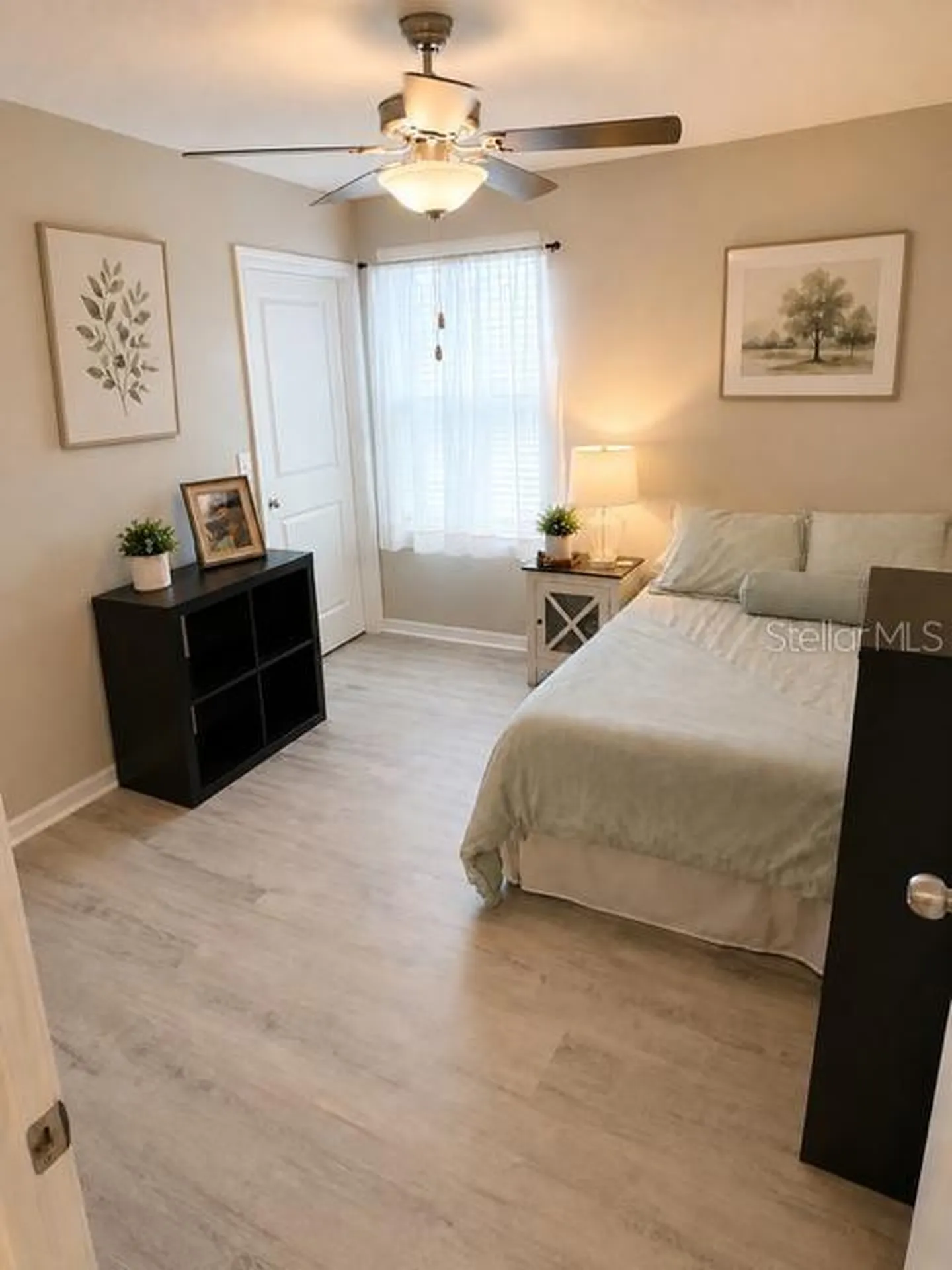 8913 Flourish Drive Land O Lakes FL 34637
