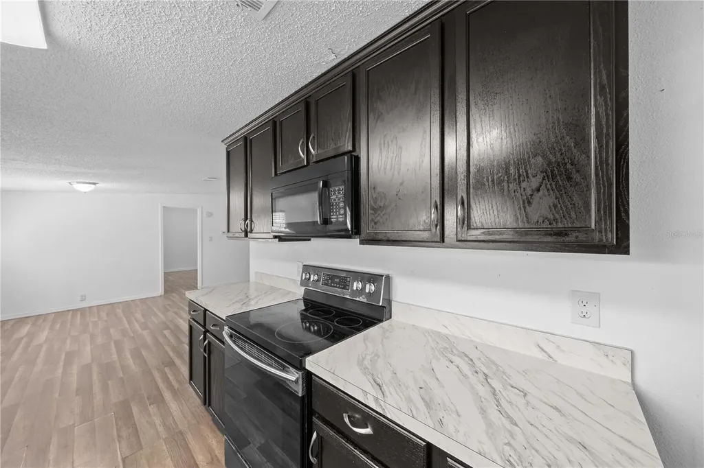 1148 Mary Frances Drive Kissimmee FL 34741