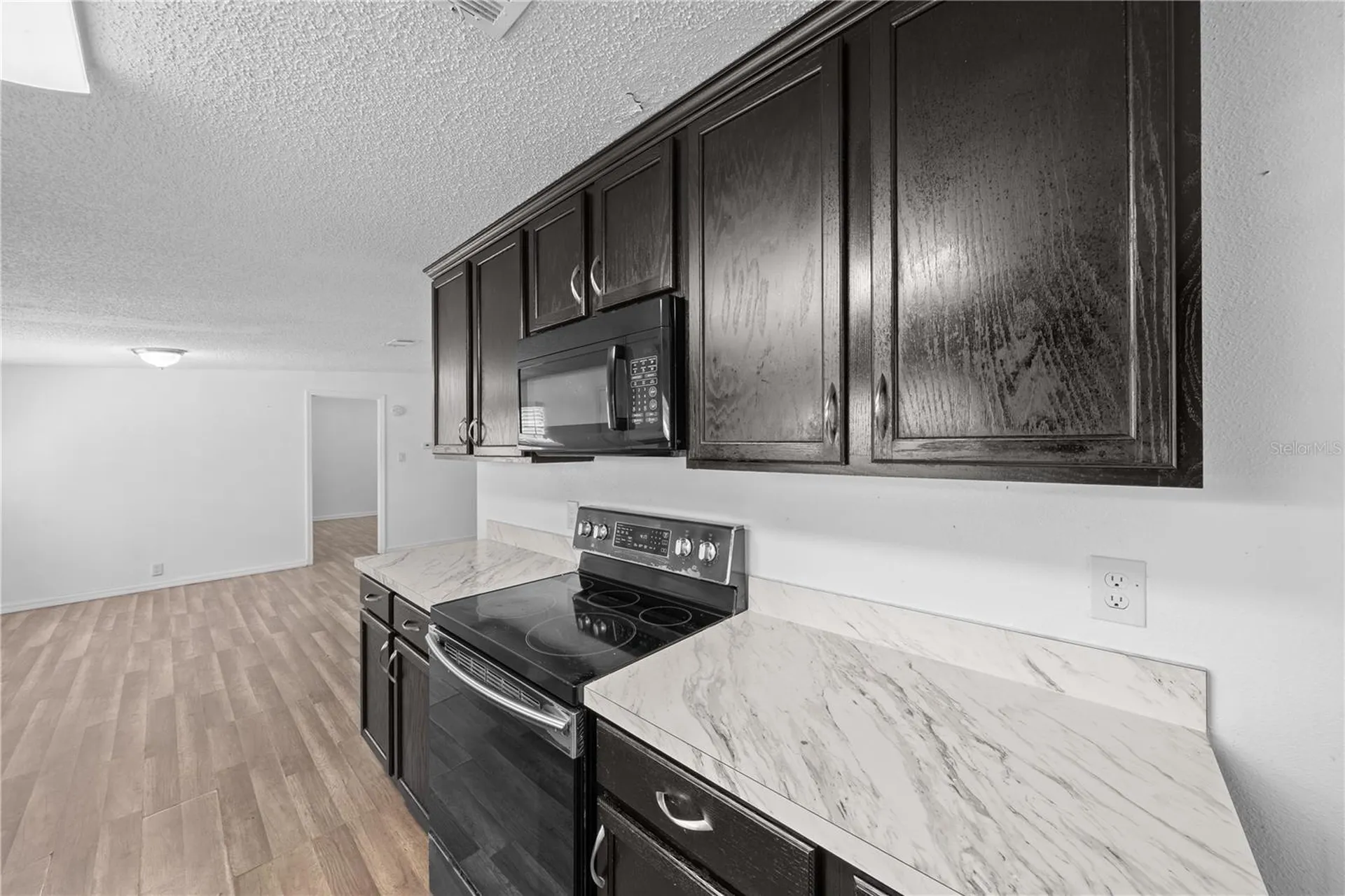 1148 Mary Frances Drive Kissimmee FL 34741