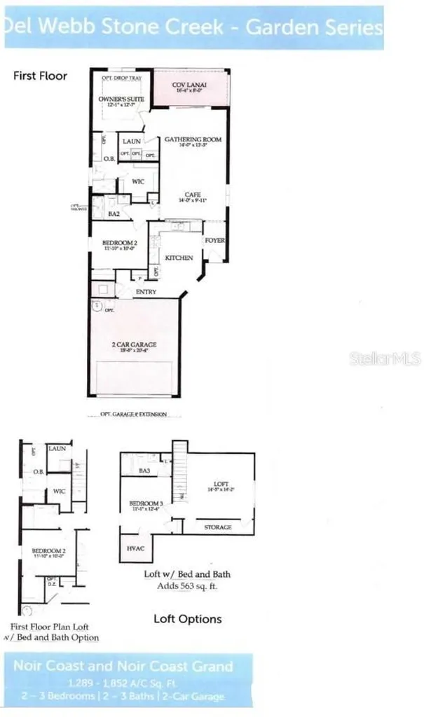 9645 SW 63rd Loop Ocala FL 34481