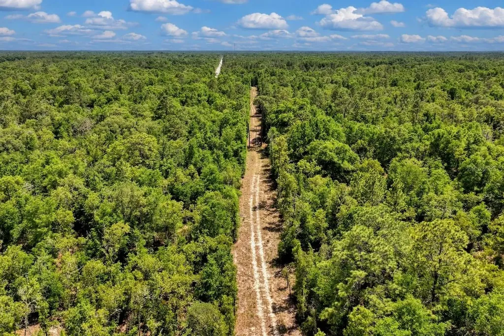 Tbd NE 75th Street Williston FL 32696