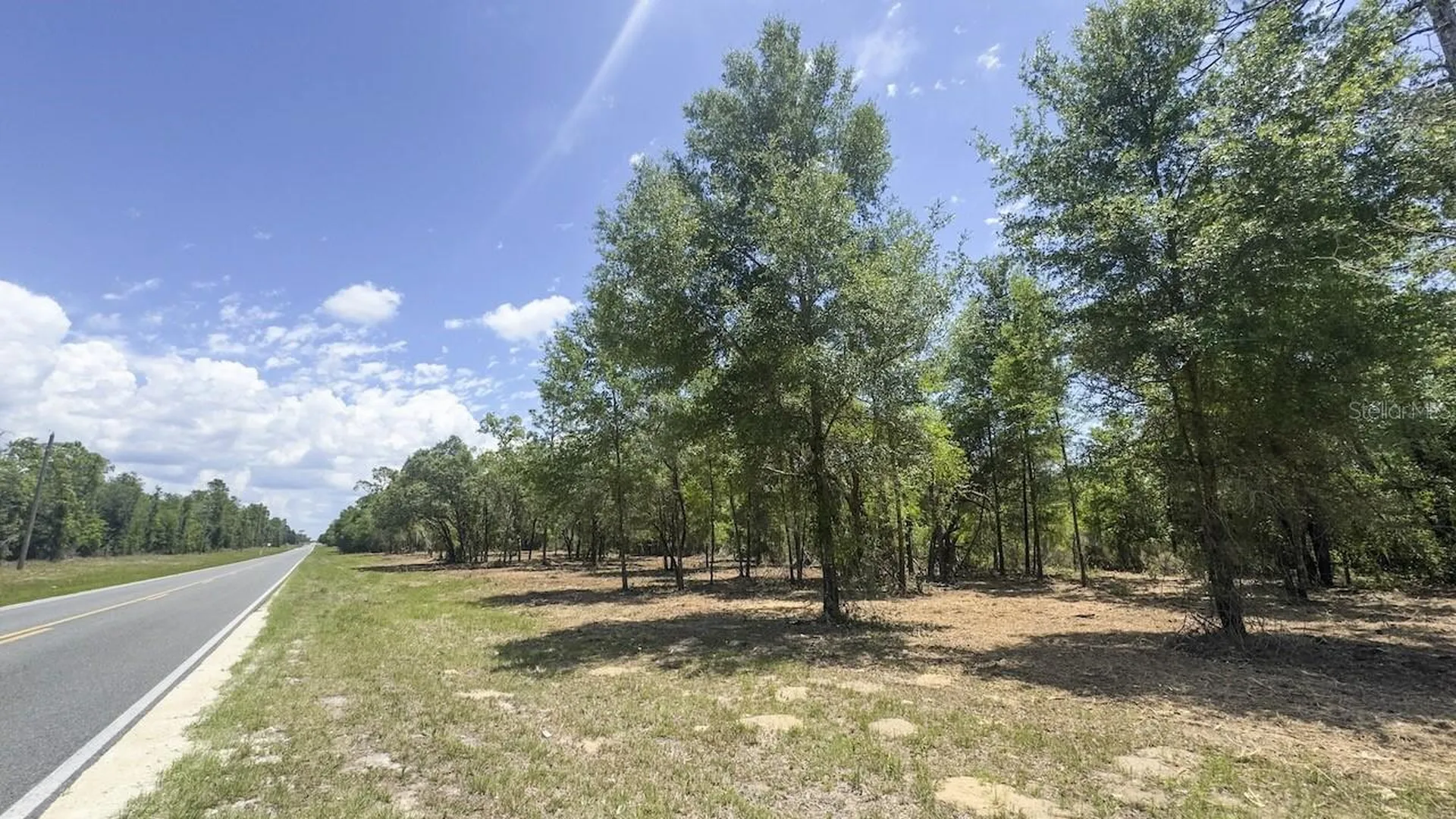 Tbd NE 75th Street Williston FL 32696