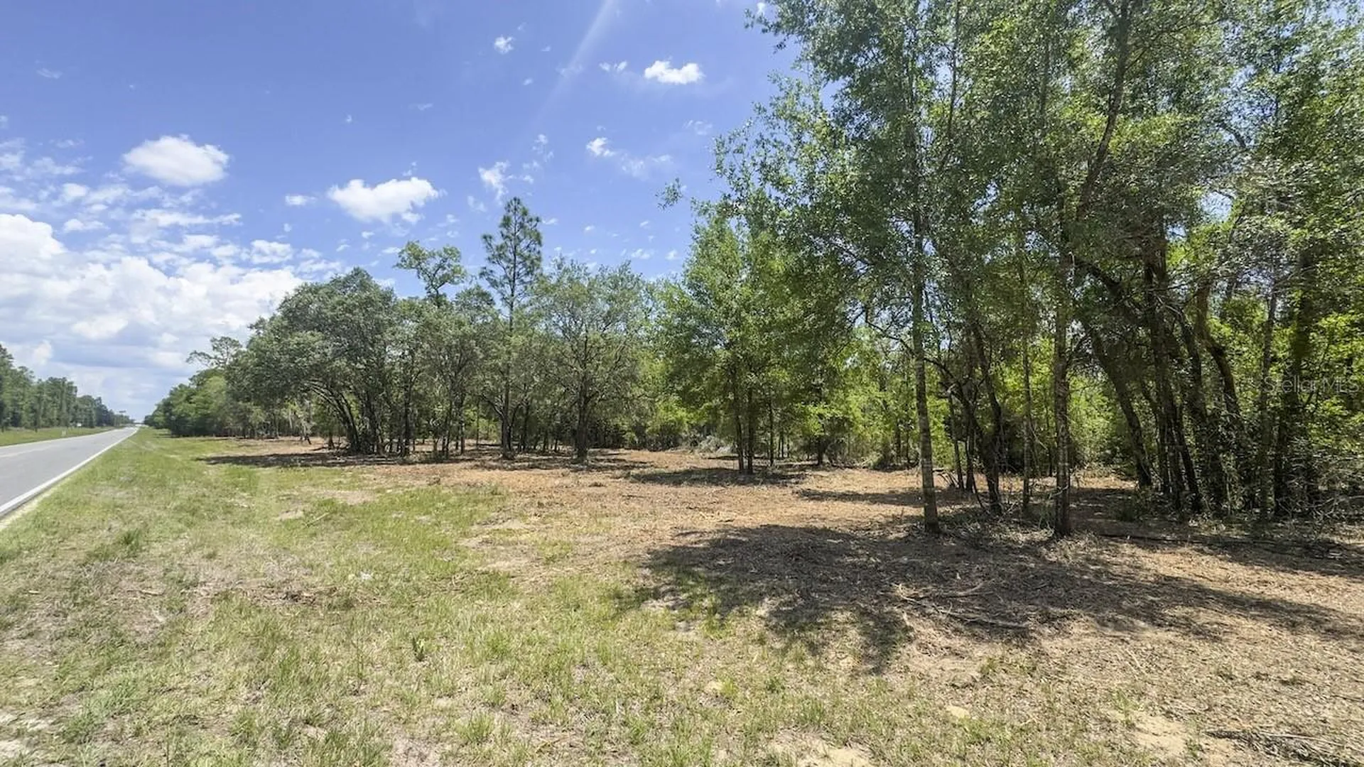 Tbd NE 75th Street Williston FL 32696
