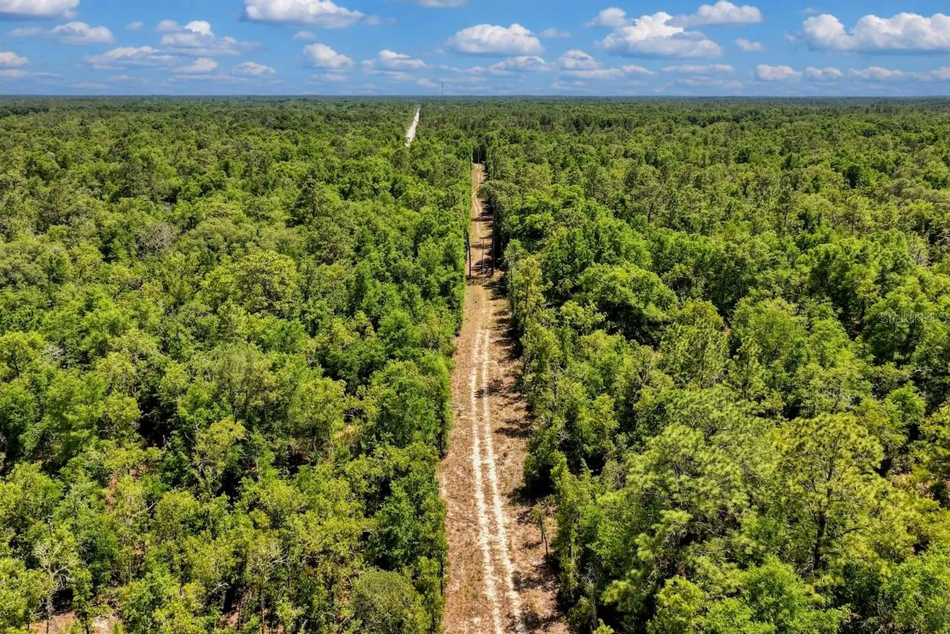 Tbd NE 75th Street Williston FL 32696