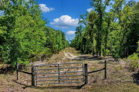 Tbd NE 75th Street Williston FL 32696