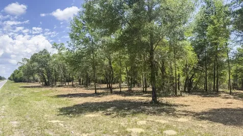 Tbd NE 75th Street Williston FL 32696
