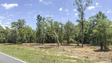 Tbd NE 75th Street Williston FL 32696