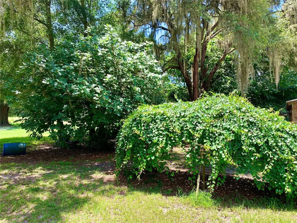 15770 NW 60th Avenue Chiefland FL 32626