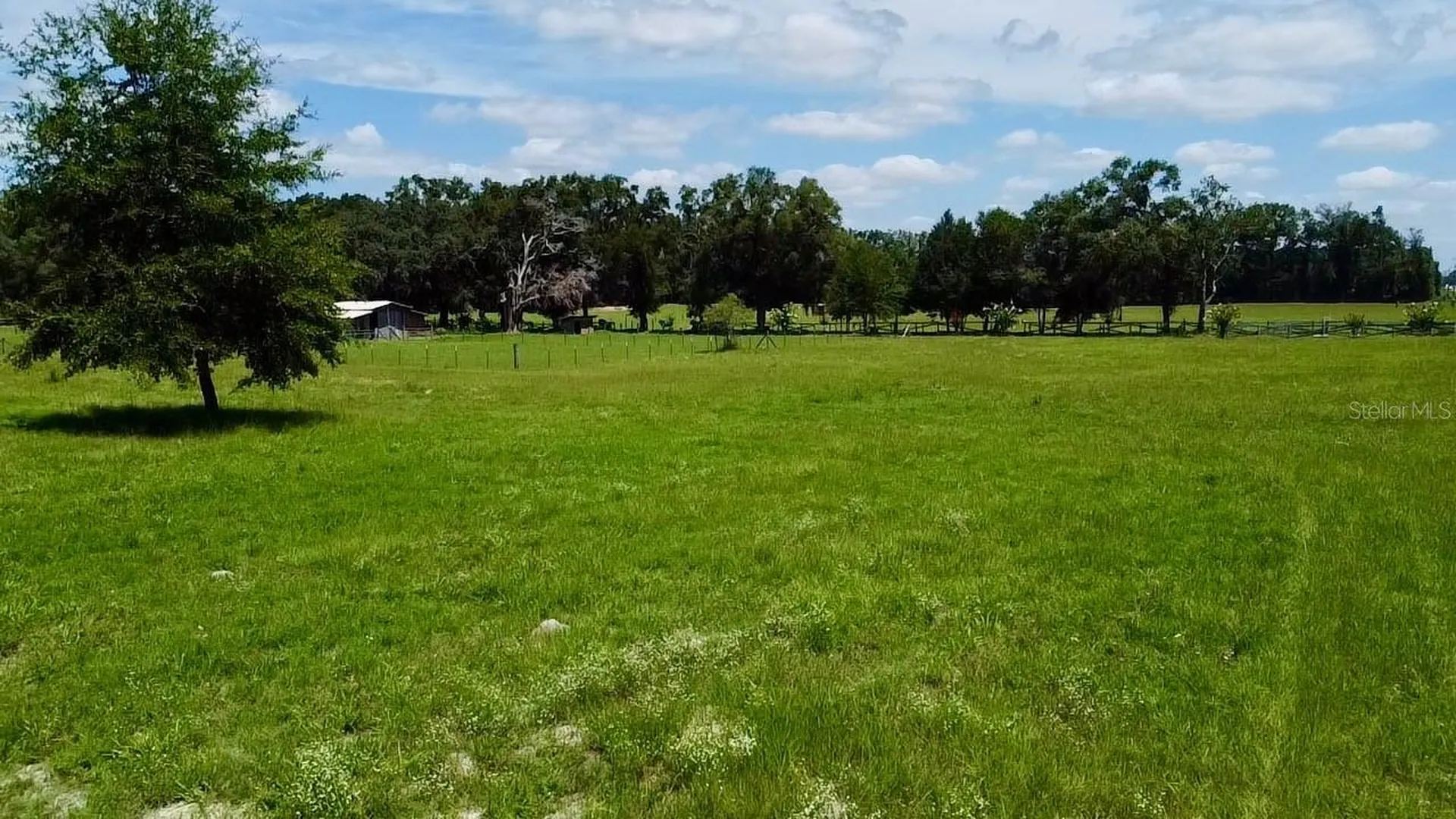 15770 NW 60th Avenue Chiefland FL 32626