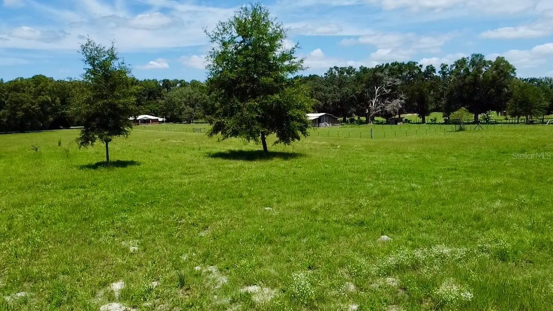 15770 NW 60th Avenue Chiefland FL 32626