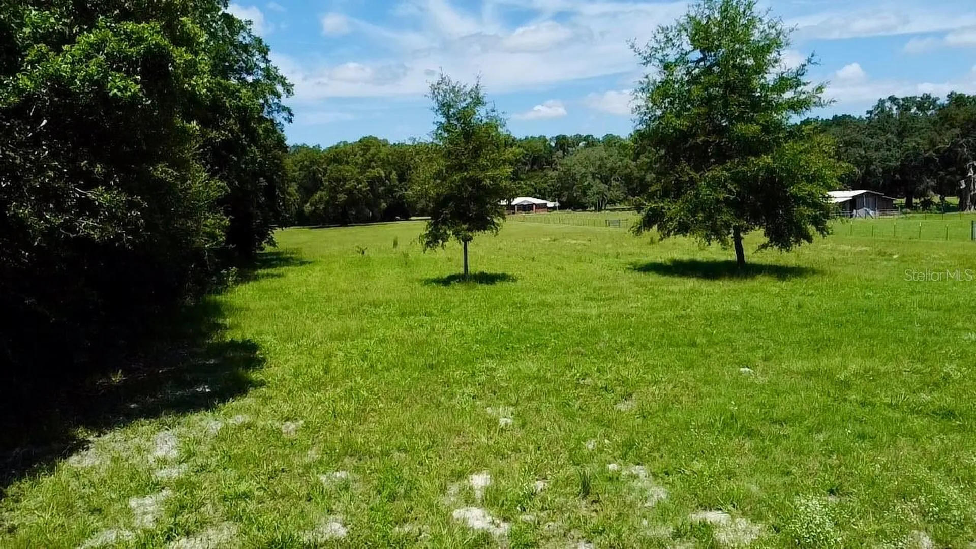 15770 NW 60th Avenue Chiefland FL 32626