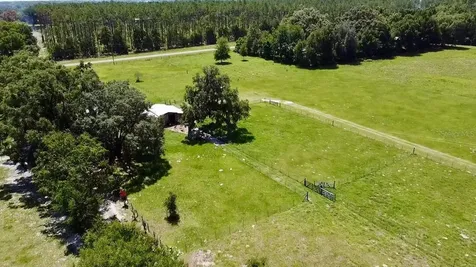 15770 NW 60th Avenue Chiefland FL 32626