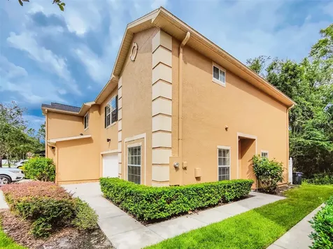 6265 Ashbury Palms Drive Tampa FL 33647
