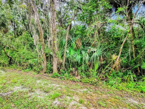 6265 Ashbury Palms Drive Tampa FL 33647
