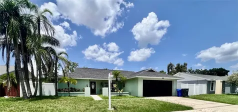 10902 Wingate Drive Tampa FL 33624