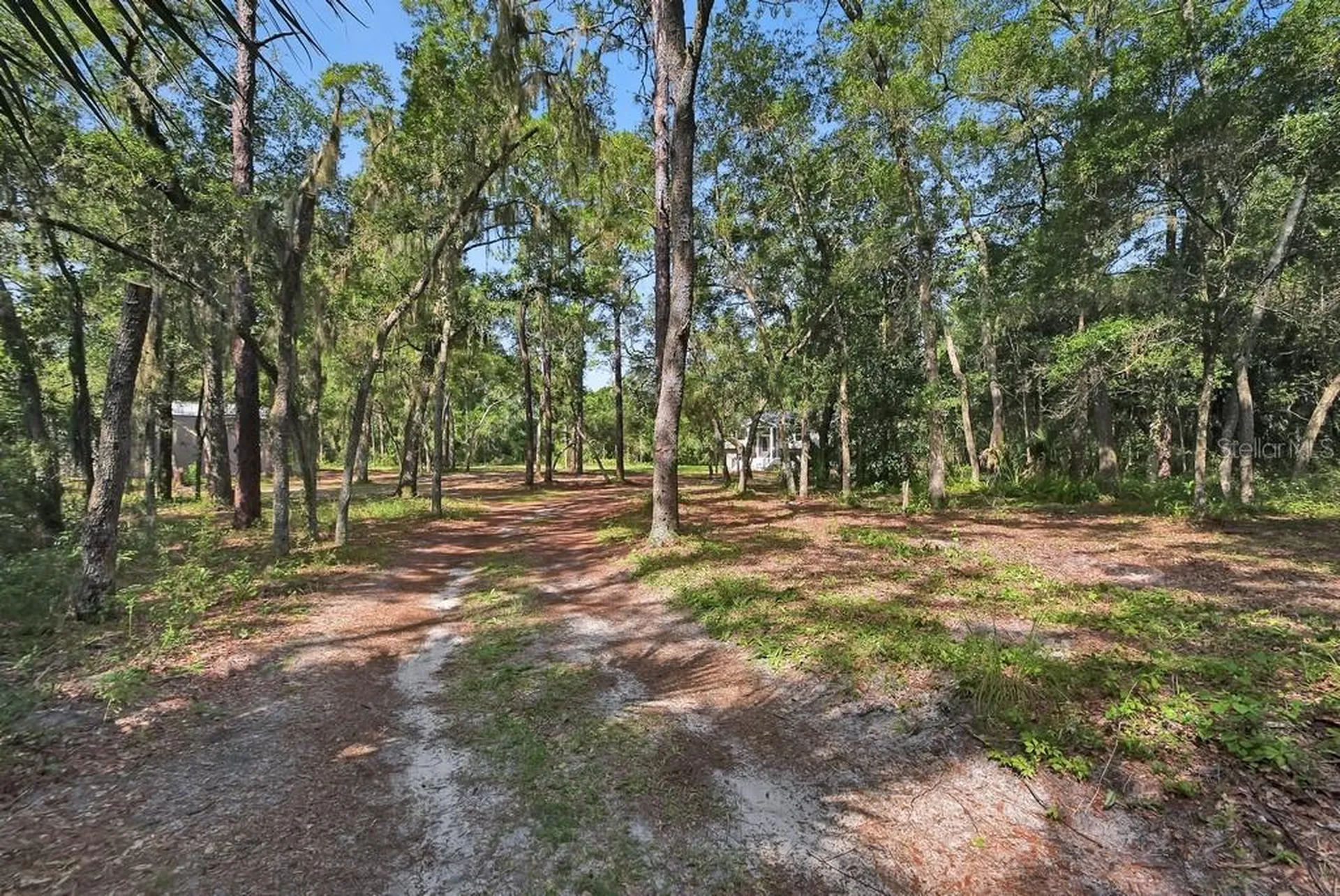 1530 Deer Moss Lane Deland FL 32720
