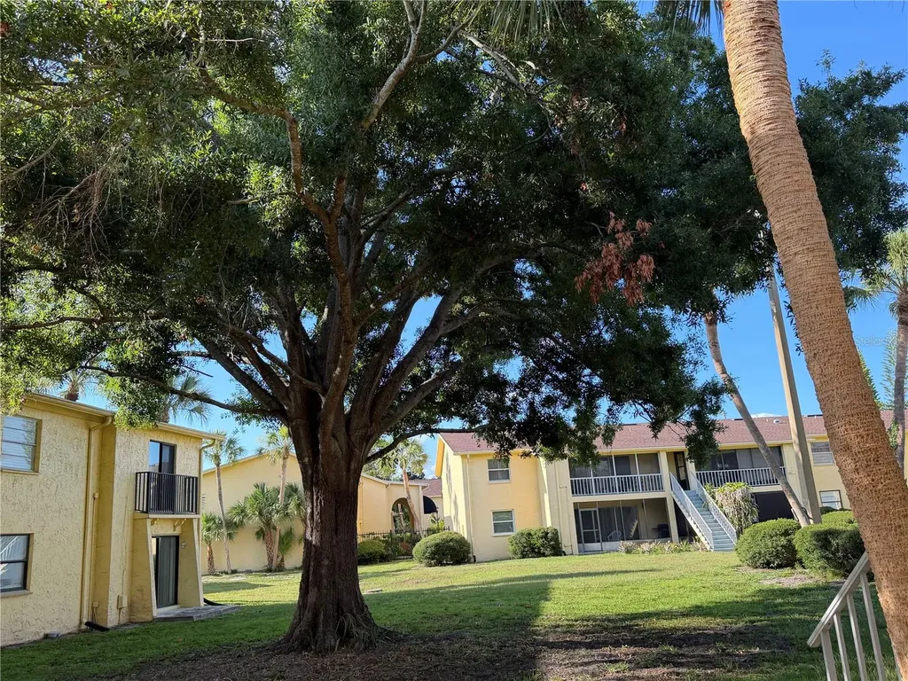 7513 Abonado Road Tampa FL 33615
