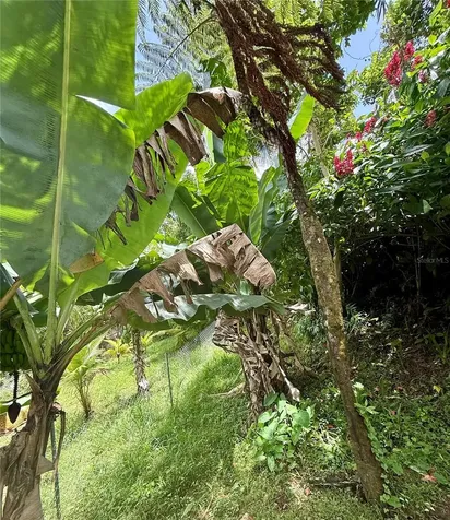 181 Route Yabucoa PR 00767