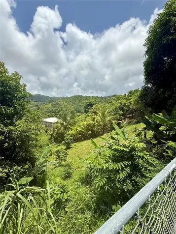 181 Route Yabucoa PR 00767