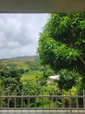 181 Route Yabucoa PR 00767