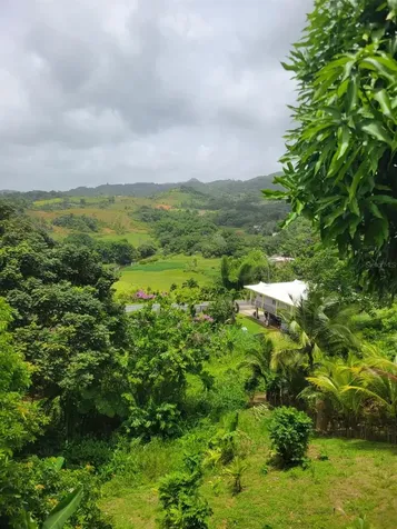181 Route Yabucoa PR 00767