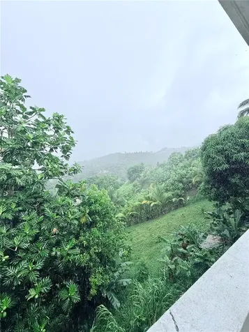 181 Route Yabucoa PR 00767