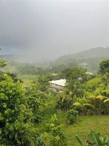 181 Route Yabucoa PR 00767