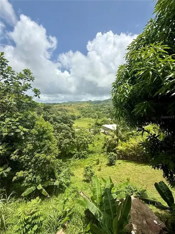 181 Route Yabucoa PR 00767