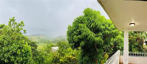 181 Route Yabucoa PR 00767