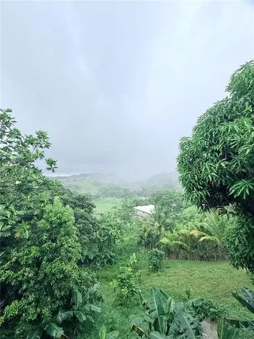 181 Route Yabucoa PR 00767