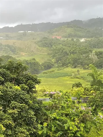 181 Route Yabucoa PR 00767