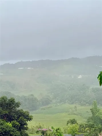 181 Route Yabucoa PR 00767