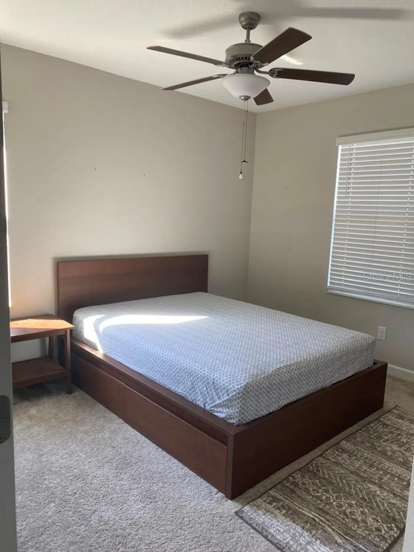 10072 Corso Milano Drive Tampa FL 33625