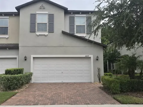 10072 Corso Milano Drive Tampa FL 33625