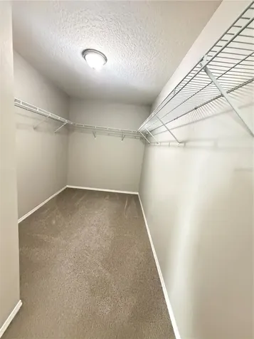 14629 Bahama Swallow Boulevard Winter Garden FL 34787