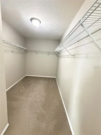 14629 Bahama Swallow Boulevard Winter Garden FL 34787