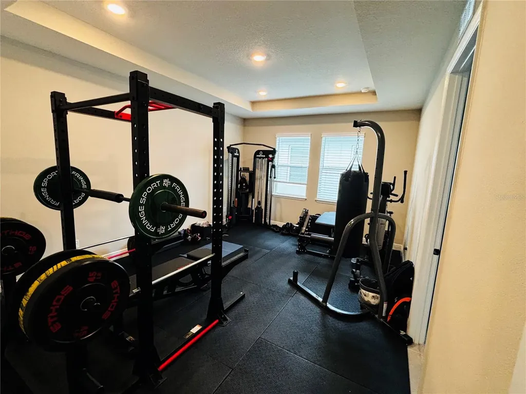 23302 Scaglione Drive Lutz FL 33549