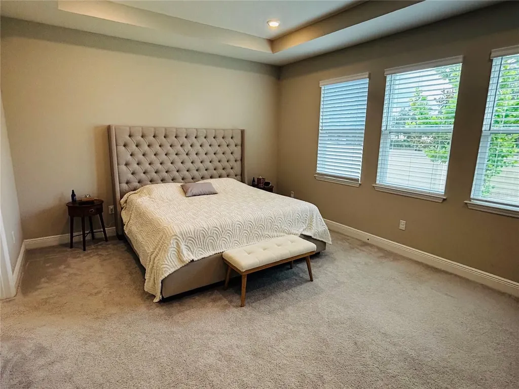23302 Scaglione Drive Lutz FL 33549